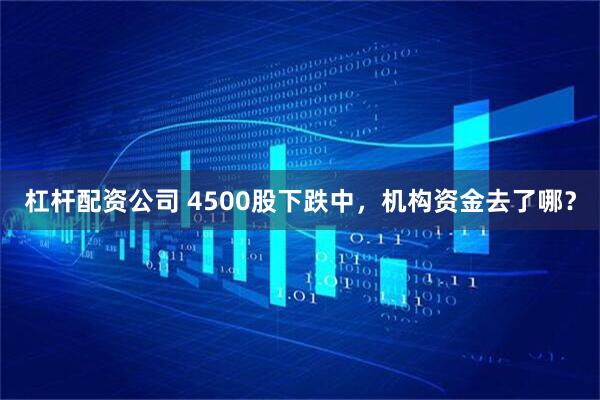 杠杆配资公司 4500股下跌中，机构资金去了哪？