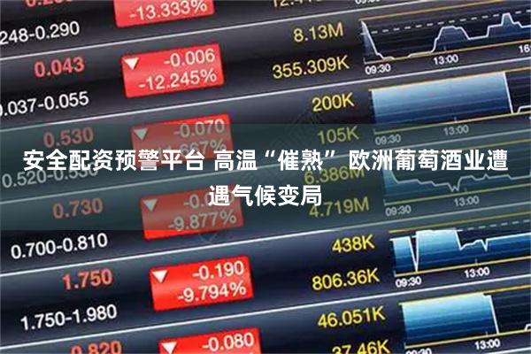 安全配资预警平台 高温“催熟” 欧洲葡萄酒业遭遇气候变局